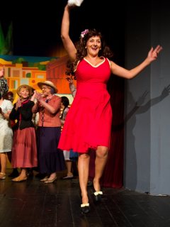 Ochotníci Rieger Pelhřimov