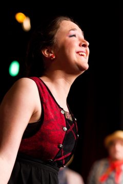 Ochotníci Rieger Pelhřimov