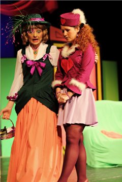 Ochotníci Rieger Pelhřimov