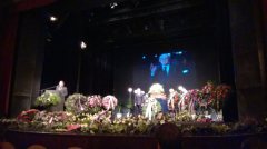 Ochotníci Rieger Pelhřimov