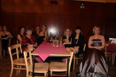 Ochotníci Rieger Pelhřimov