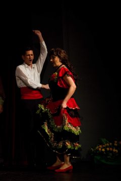 Ochotníci Rieger Pelhřimov