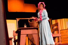 Ochotníci Rieger Pelhřimov